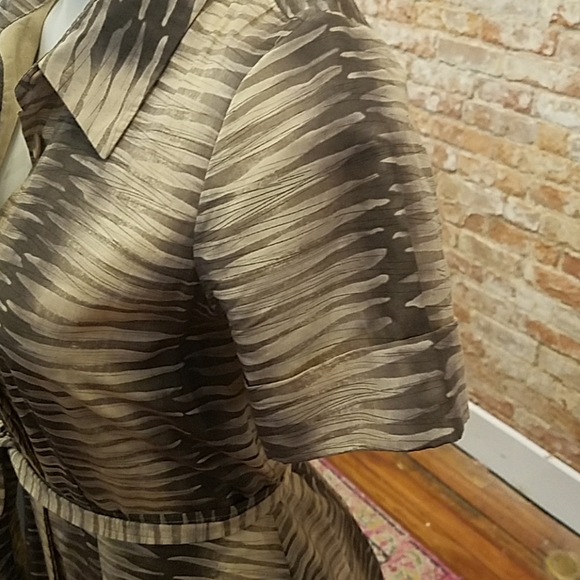 Collared Button-Front Dress - Picture 3 of 6